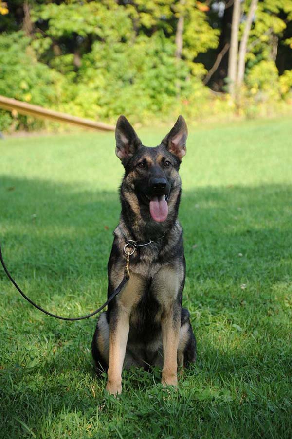 Neon vom Fruhlingsbach 