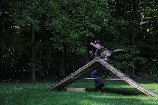 Neon vom Fruhlingsbach 