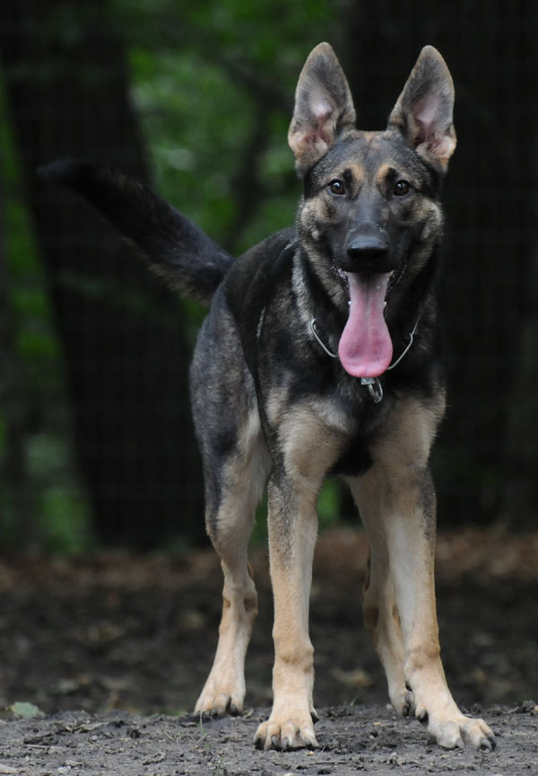 Neon vom Fruhlingsbach 