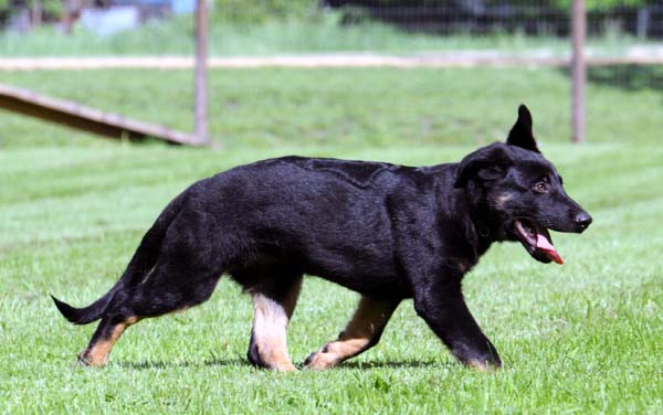 Charming Wir Vertrauen