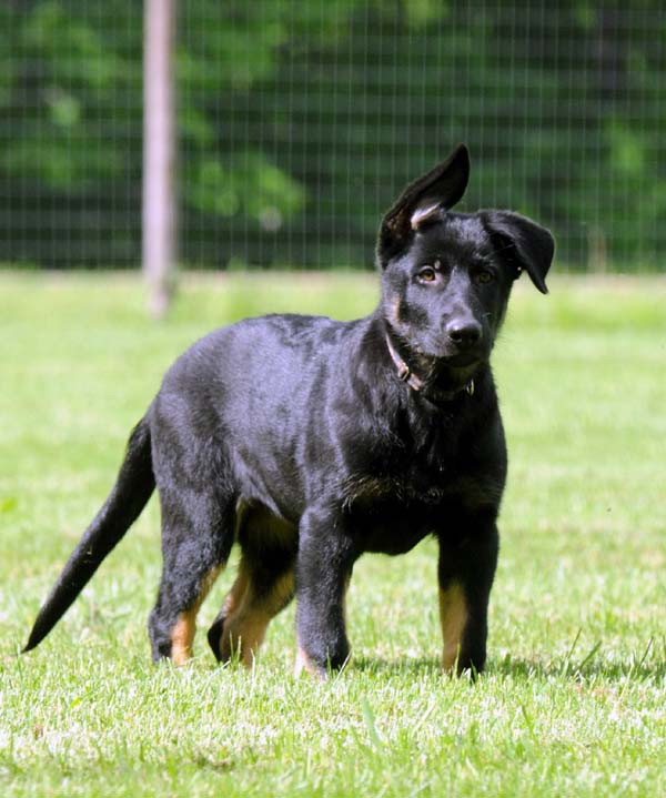 Charming Wir Vertrauen