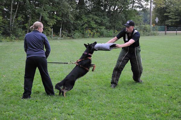 Hera - Personal Protection Training