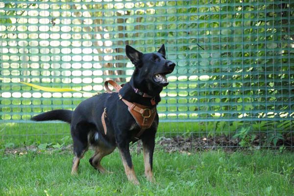 Hera - Personal Protection Training