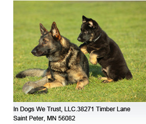In Dogs We Trust, LLC.